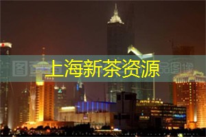 上海工作室大曝光！顶级精英如何在这里崭露头角？