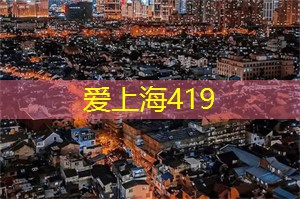 上海工作室为何成为年轻人的必争之地？独家调查揭晓！